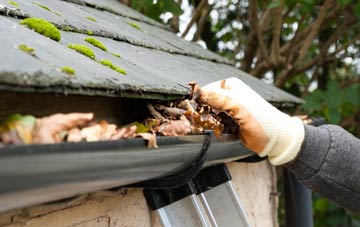 gutter cleaning Edge